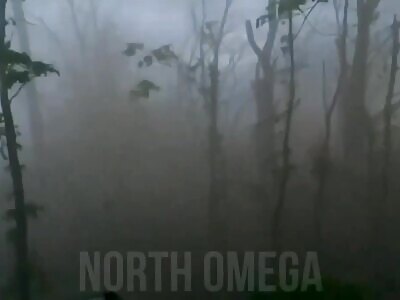 Ukrainian Forces The Compilation