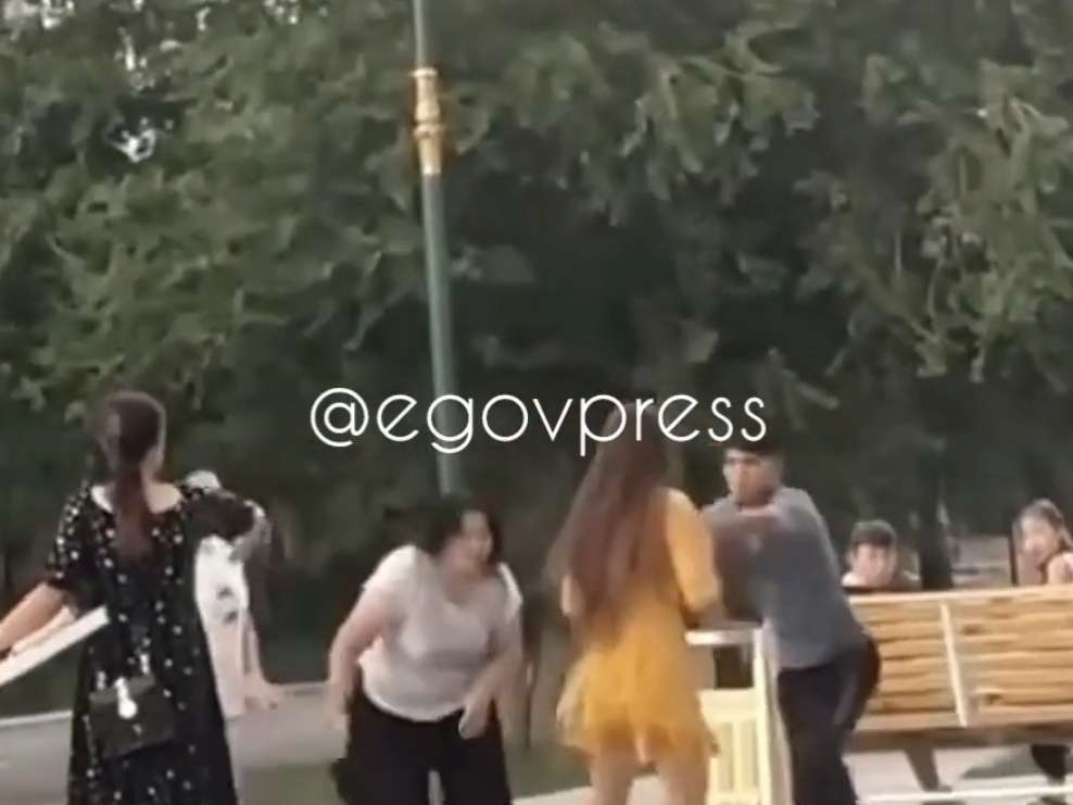 Passing Eyewitness Intervenes In Conflict Between Women