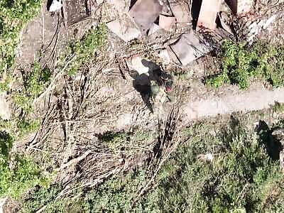 Russians froze at the sight of a drone