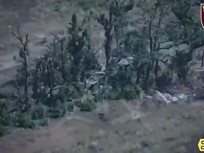 The Russo-Shredder Carries On