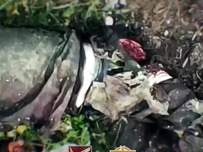 Dead Russians comp (HOT SUMMER 2024)