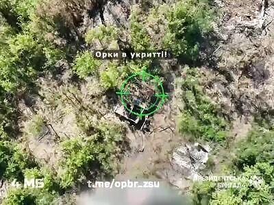 Today's Episode: The Zigger Rippers