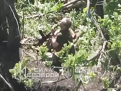 YAZS: Quick And Efficient