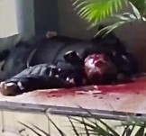 Police Officer Executed (Action & Aftermath)