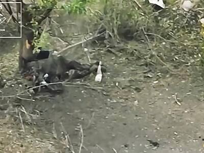 Dead Russians comp (July 26, 2024)