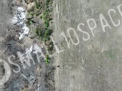 The Run Up To Suicide