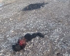 Rival gang member killed and burned 