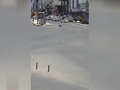 the idiot biker broke his face