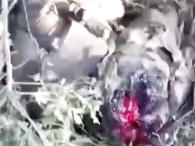 Ukraine War | Russians Hammered HARD | July 2024 Compilation ReMix