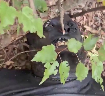 Tattooed mercenary soldier rots in the fields of Ukraine.