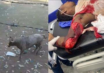 Colombian Rodeo Bulls Never Lose