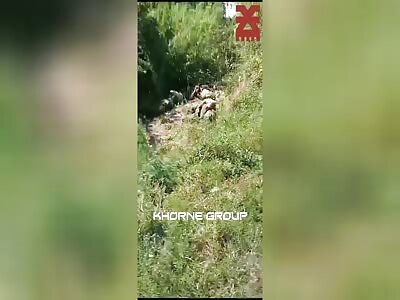 Dead Russians in Kursk region