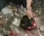 Cartel Taking Off His Head