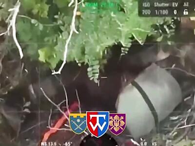 Hedonist Zigger Deploys New Armor