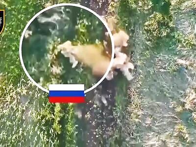 Grenades deprive Russians of limbs