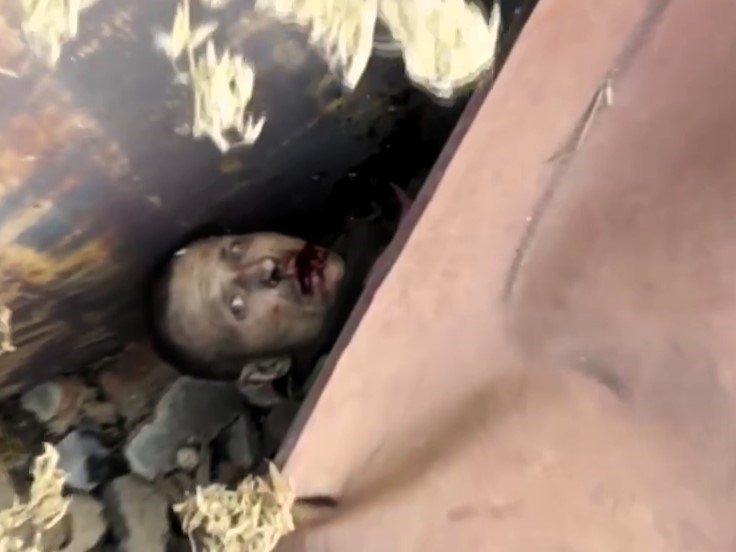 Mangling Russian Soldiers Mania—Mad Cow Rock Comp.