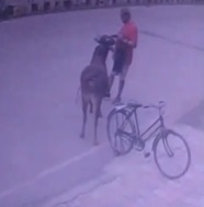 Into The Pole And Dragged Away By Car