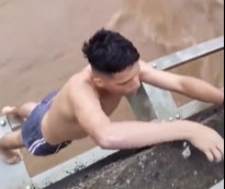 Moron Can't Out Swim the Current.