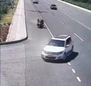 Biker Crash & Burned (Action & Aftermath)