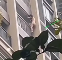 Naked Chick Climbs Down Apartment Building