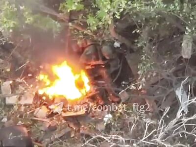 Inexplicable Things Happening At Zigger BBQ