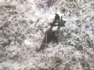 minus the katsap legs