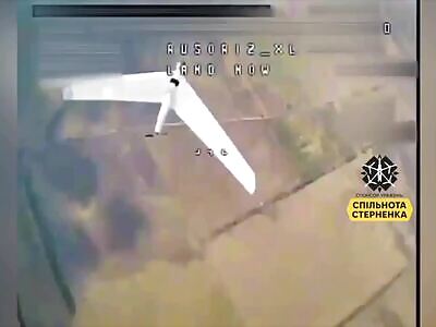 FPVs shot down 115 Russian UAVs (comp)