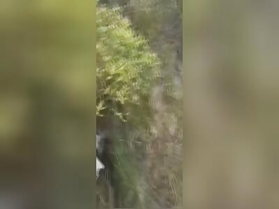 Kinburn spit landing 