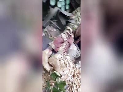 Grand Theft Auto: Kursk