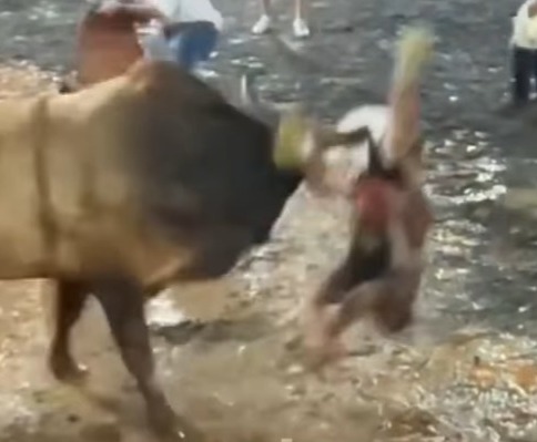 Brutal, Nicaraguan Bull Destroyed a Fucking Idiot