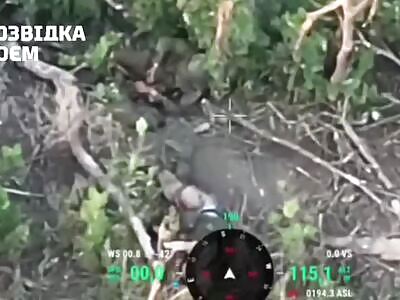 Treasonous Russophobic Assault Rifle