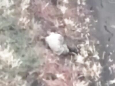 This Russian is tired of fighting