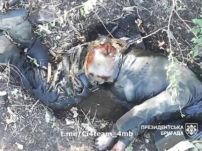 The Trail Of Zigger Corpses