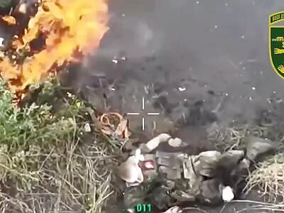 Lit Up and Set on Fire.