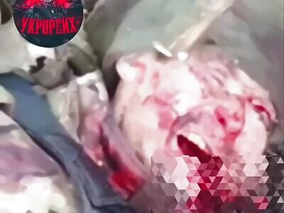 Compilation of RU fleshes in UA