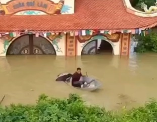Man Tries to Save Beloved Dog but Boat Capsizes... Both Die.