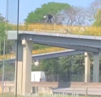Idiot Hiker on Top of a Guard Rail Fell.