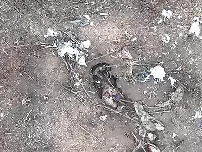 Fumbling Zigger Is Not Fast Enough