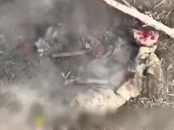 Bullseye Blast Evacuates and Cleaves Russian's Cranium 