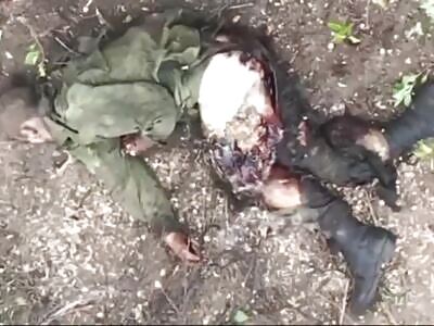 Zigger's slow and painful death