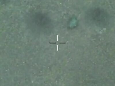 Possibly First Sighting Of Zigger On Skateboard