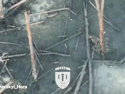 Drones bomb Russians