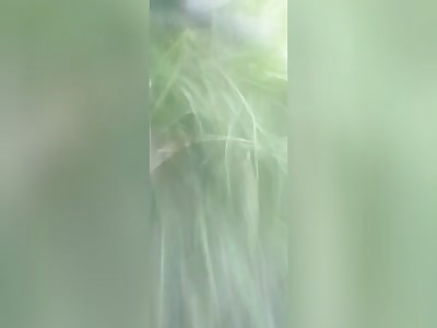 Islamist fighters destroy rebels in Myanmar