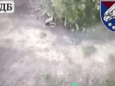 Combat Wheelchair Spotted