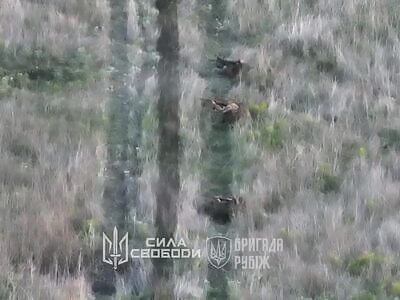 Repelling the Russian attack (HIGH QUALITY)