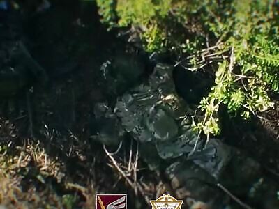 Extermination of Russians