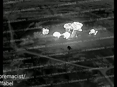 Ukrainians fall into a Russian trap and are massacred(Description)