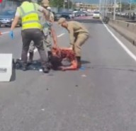 Woman's Body Completely Mangled & Fucked Up