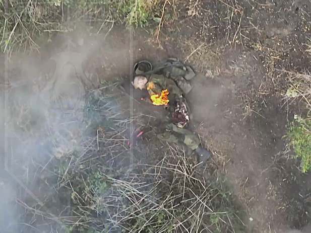 Feelgood Compilation—Mutilation & Torment of Orcs