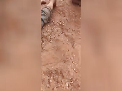 Several Left Dead In Crash